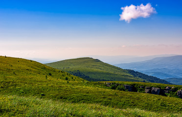 Fototapeta premium grassy hillside on mountain in summer