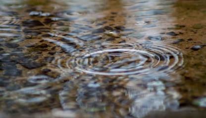 Raindrop and Ripples in Water