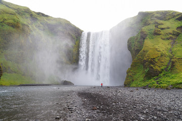 Fototapeta premium Skogarfoss,majestic waterfall in Iceland.