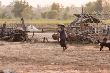 Farmer Ancient salt,Woman working on salt field in Thailand,Ancient salt making,career in salt farming is reserved for Thai people.