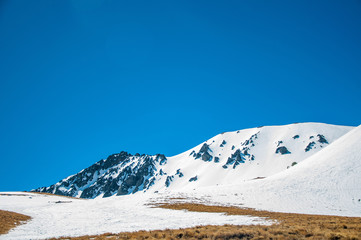 NEVADO NEVADO