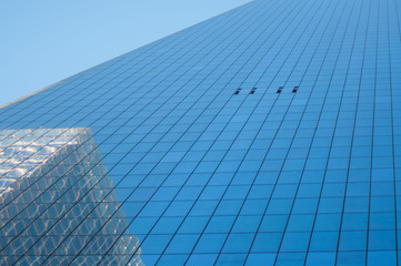 REFLEJOS