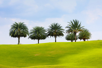 Fototapeta na wymiar Nice golf place with nice green