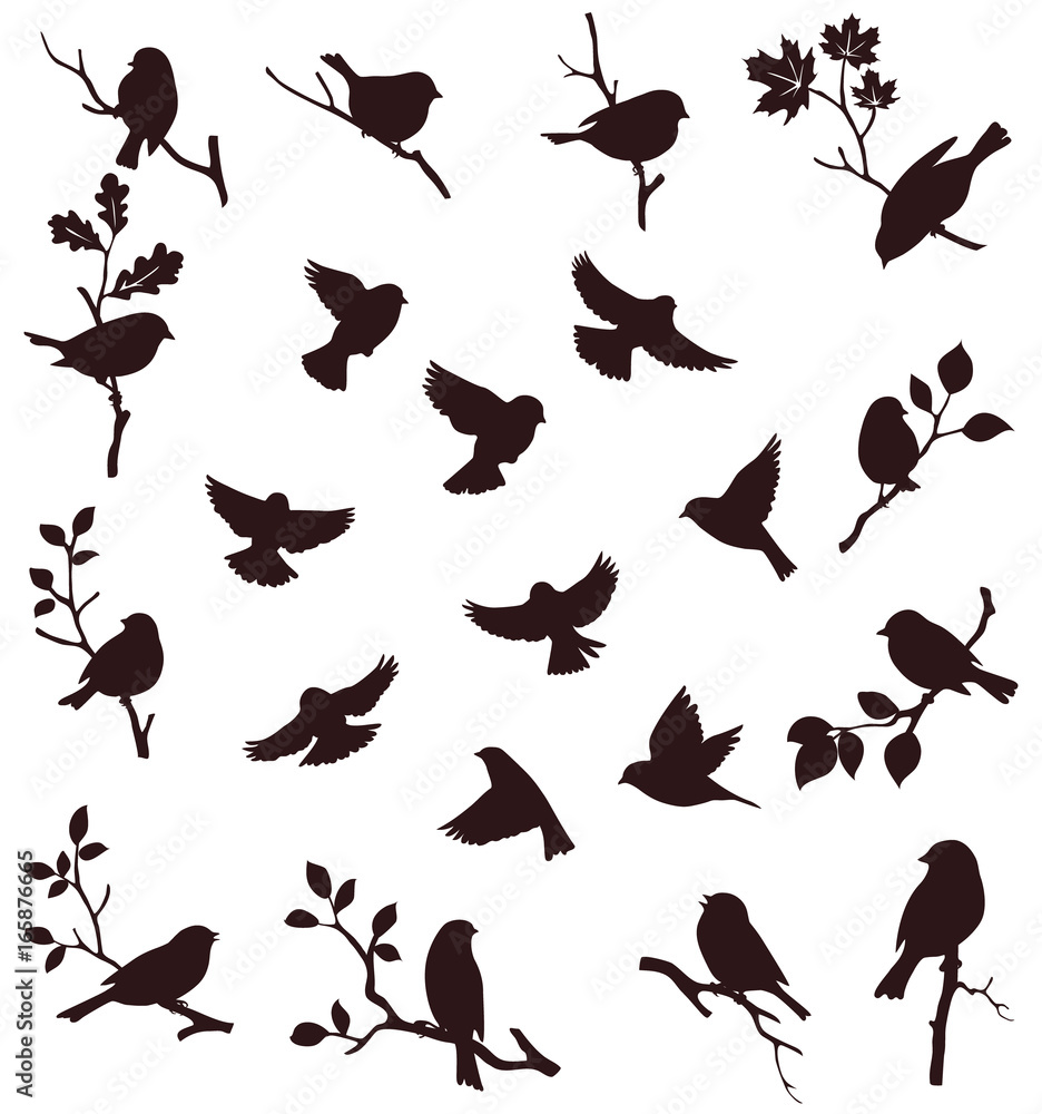 Poster vector set of bird and twig silhouette