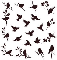 Vector set of bird and twig silhouette - 165876665