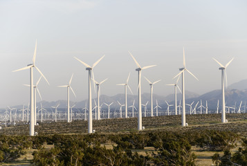 wind farm, riverside