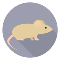 Maus Design Vektor Grafik Illustration Icon