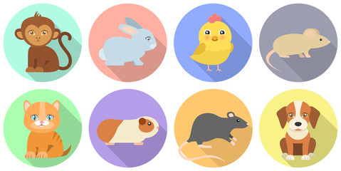 Tiere Icon Set Flat Design Vektor Grafik Illustration