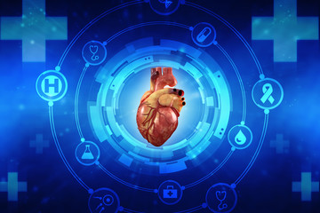 Obraz premium 3d Anatomy of Human Heart 