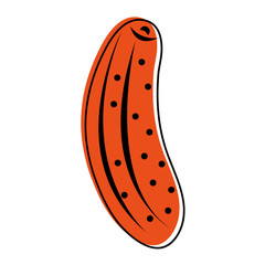 cucumber vegetable icon image