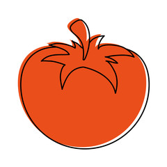 whole tomato icon image