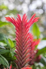 Un brindis por la belleza