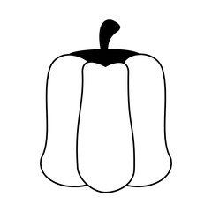 bell pepper vegetable icon image