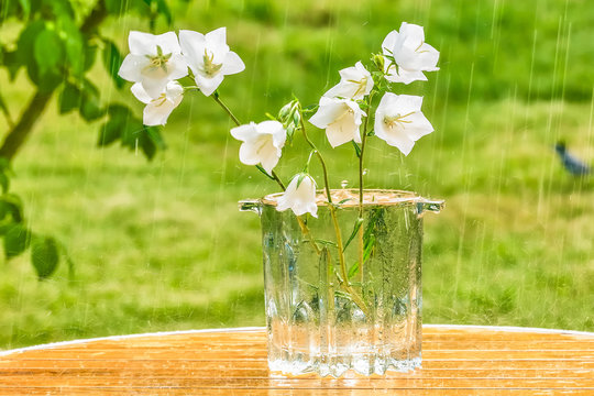 White bells in a vase on a table in the garden under a summer rain.