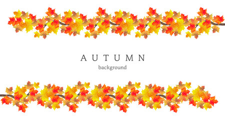 autumn leaves illustration