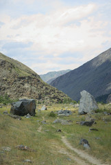 Fototapeta na wymiar Valley of the river Chulyshman. Panorama of the big size. Altai Mountains, Siberia, Russia.