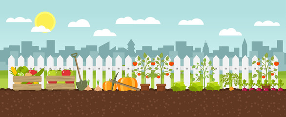 Urban Gardening Gemüse Anbau Flat Design Vektor Grafik Illustration - 165882656