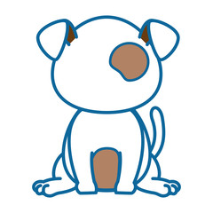 isolated cute standing dog