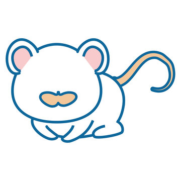 isolated cute mouse