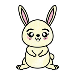 Fototapeta na wymiar isolated cute standing rabbit