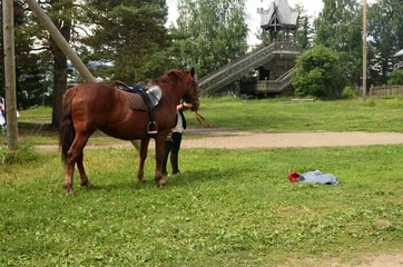 Village de Verkhnie Mandrogui (Russie)