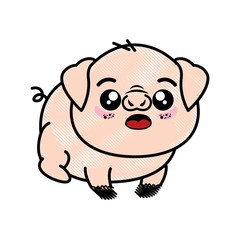 isolated cute standing pig