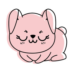 isolated cute sitting rabbit