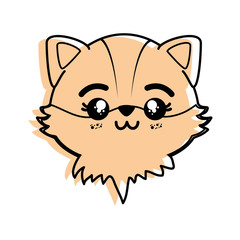 isolated cute fox face
