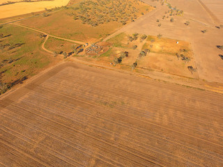 Obraz premium Aerial view of Outback Cattle mustering featuring herd of livestock cows and bulls in drought and dusty area. Ready for auction and cattle yards. Complete with sheep dogs and cowboy farmers.