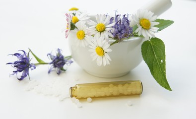 Heilkräuter, Gänseblumen, Teufelskralle, Homöopathie