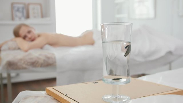 Bank with leeches against the background of a blonde girl - hirudotherapy, blurred