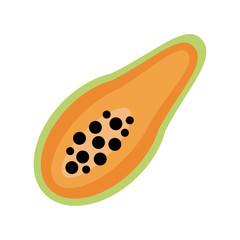 fruit icon image