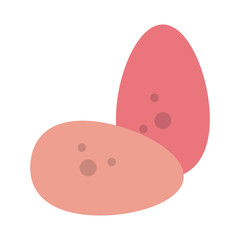 two eggs icon image
