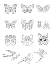 Set of outline cats, tiger, birds, butterflies and bees. Stock line vector illustration. 