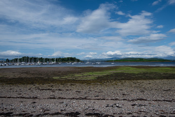 Dunstaffnage Marina from the local tearoom