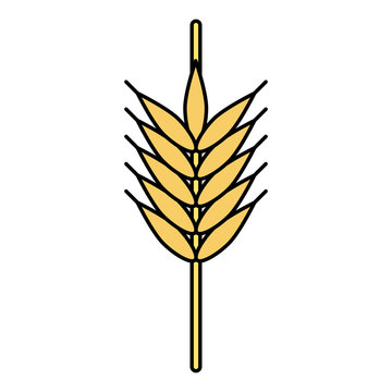 wheat ear icon image