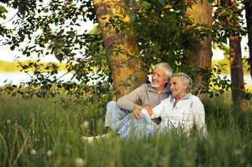 senior couple on green meadow 