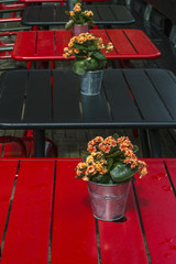 Red and black tables with beautiful flower on them in the street restaurant