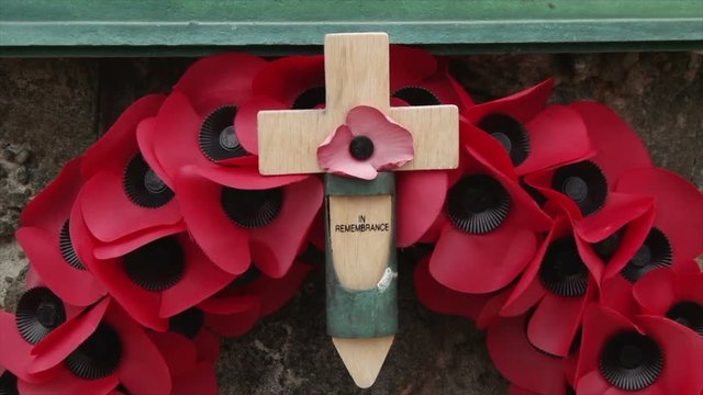 Close shot of a poppy reef blowing in the wind at the Falklands War memorial in Port Stanley.