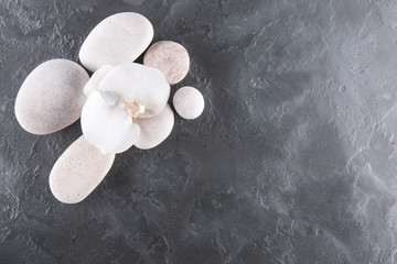 White orchids and stones lie on gray marble. Top view. Spa