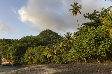 Fototapeta na wymiar Plage de Anse Ceron, Martinique