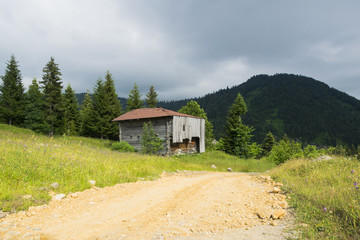 wooden house near the road