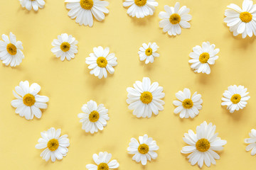 Yellow background with chamomile pattern. Flat layer.
