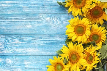 Store enrouleur Tournesol Yellow sunflowers on blue wooden background. Copy space.