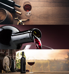 Wine tasting and winemaking