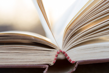 Education and wisdom concept - open book under sunlight