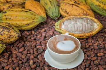 Hot cocoa with Cocoa Beans and Cocoa Fruits