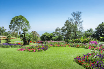 Gardens with flowers and ornamental plants.