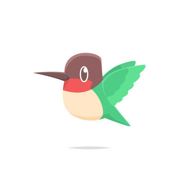 Cartoon hummingbird vector isolated