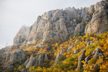 Fototapeta premium Autumn in the mountains